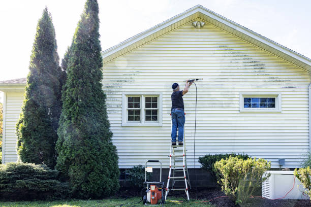 Best Vinyl Siding Pressure Washing in Montrose, NY